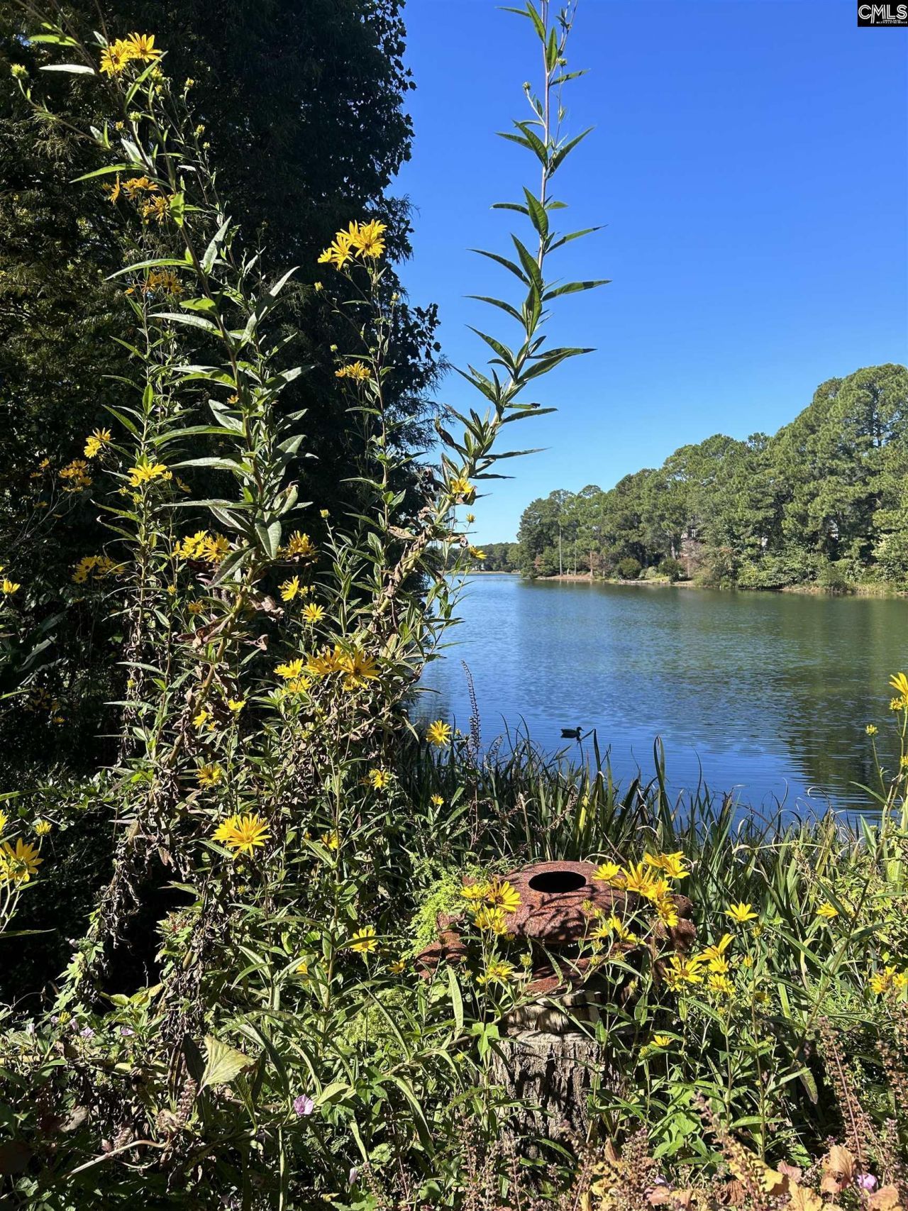 310 Aiken Hunt Circle Photo 79