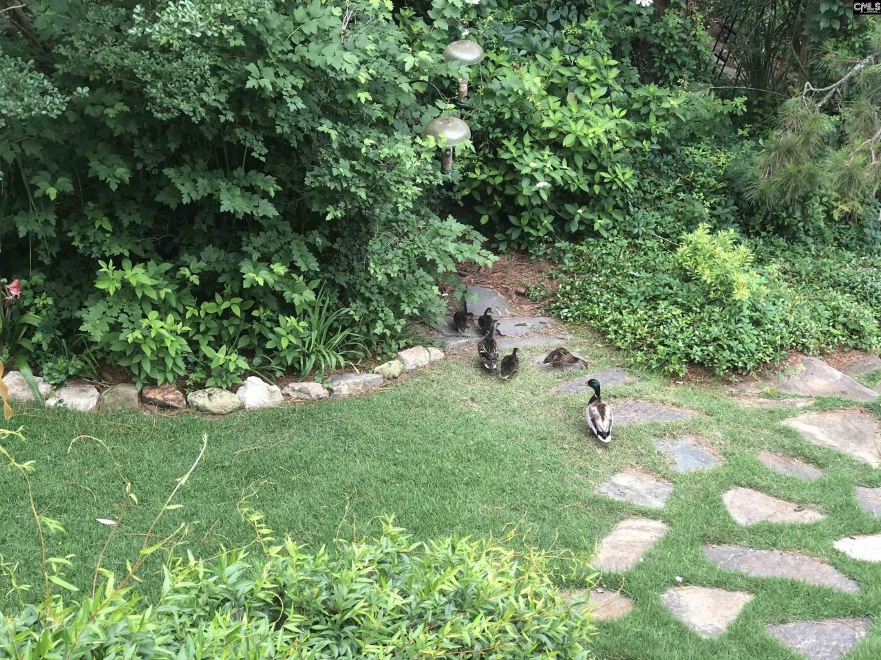 310 Aiken Hunt Circle Photo 84