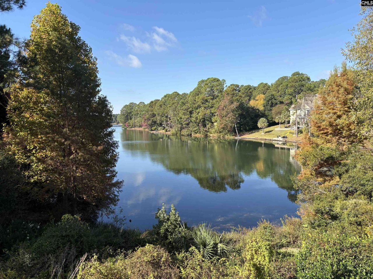 310 Aiken Hunt Circle Photo 86