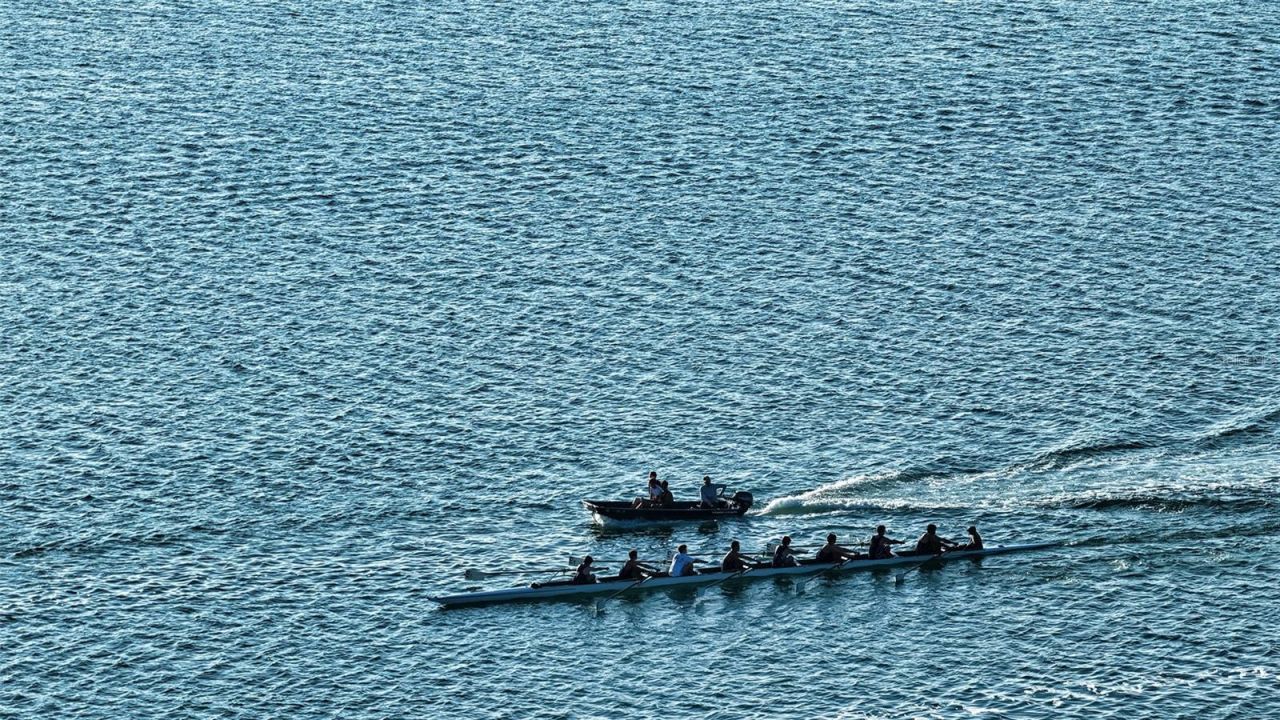 324 Bayshore Drive, Osprey, FL 34229 Photo