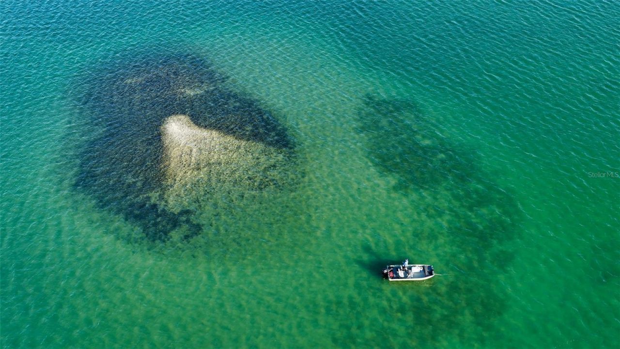 324 Bayshore Drive, Osprey, FL 34229 Photo