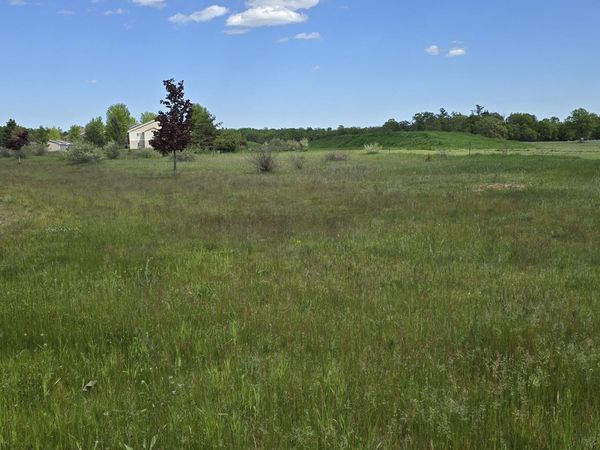 V/L 1.85 A Country Village Lane, Roscommon, MI 48653