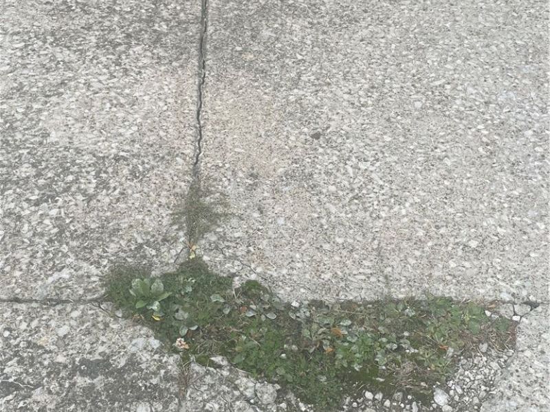 11511 Bradwell Road, Garfield Heights, OH 44125 Photo 32