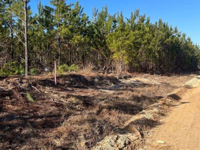 BFF II 8 Brunson Teal Road, Patrick, SC 29854