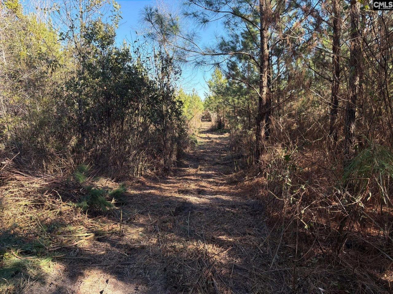 Bff II 8 Brunson Teal Road Photo 10