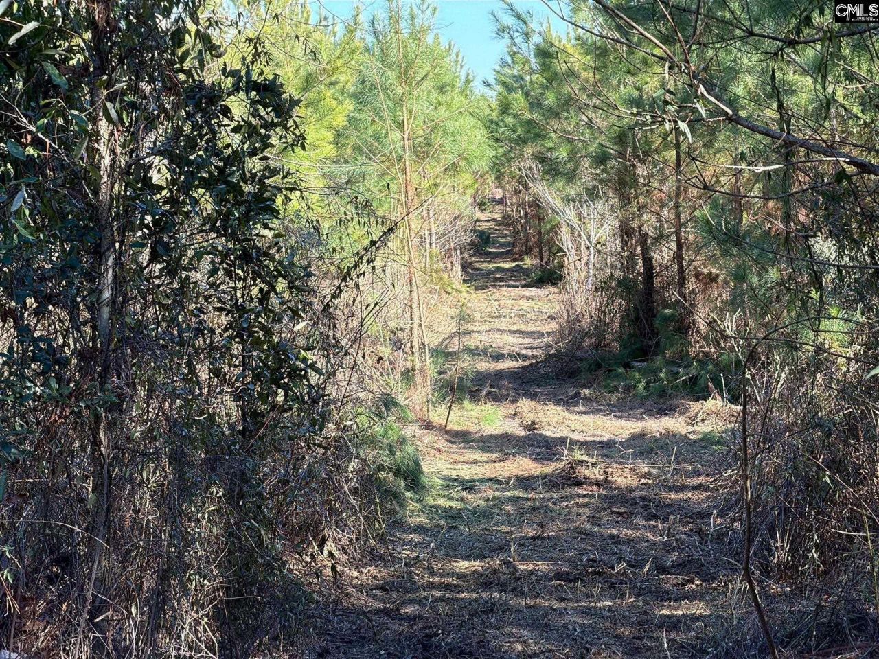 Bff II 8 Brunson Teal Road Photo 11