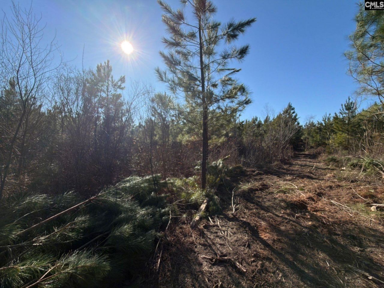 Bff II 8 Brunson Teal Road Photo 13