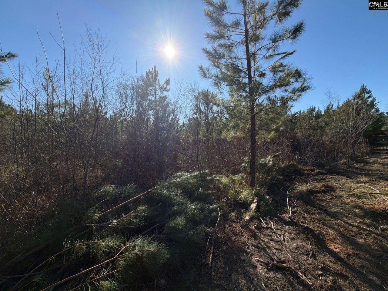 Bff II 8 Brunson Teal Road Photo 14