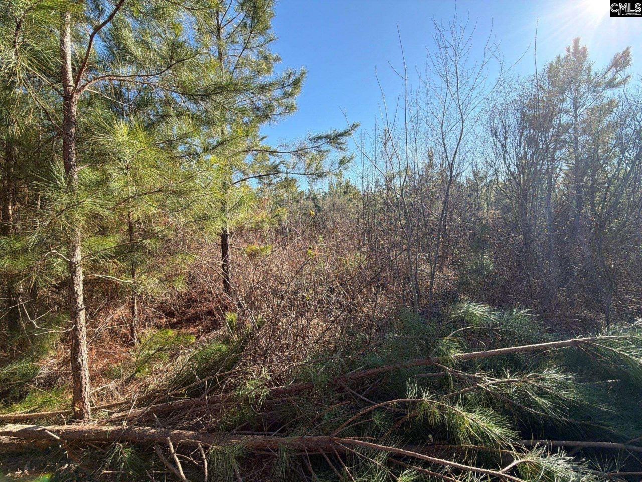 Bff II 8 Brunson Teal Road Photo 15