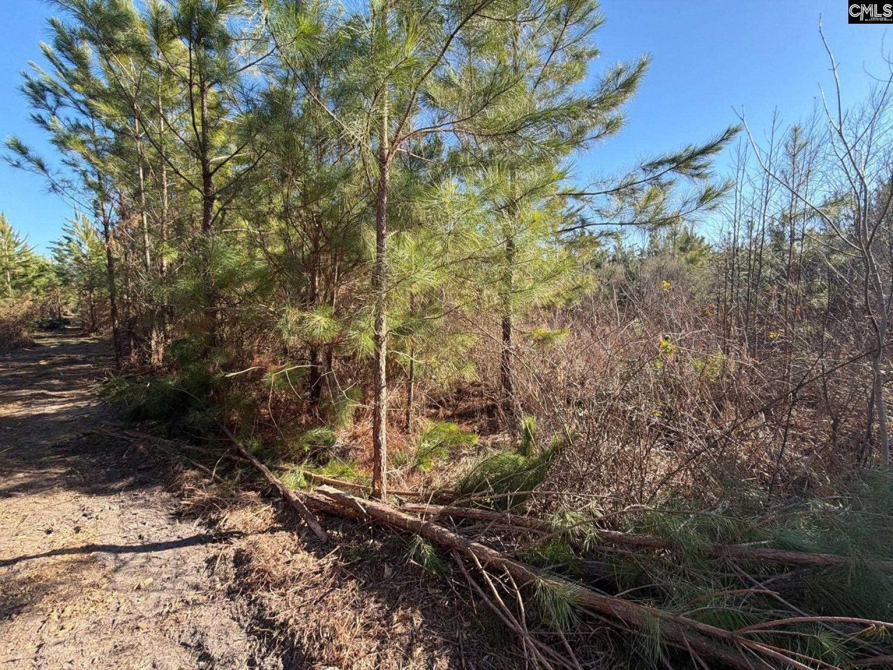 Bff II 8 Brunson Teal Road Photo 16