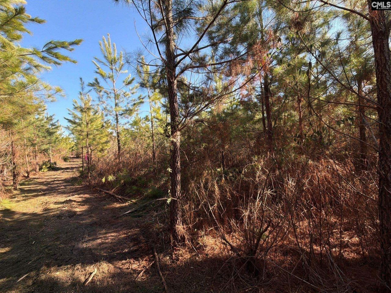 Bff II 8 Brunson Teal Road Photo 17