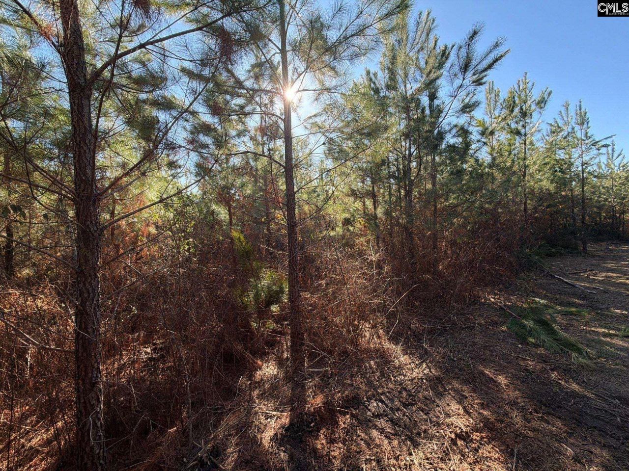 Bff II 8 Brunson Teal Road Photo 19