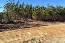 Bff II 8 Brunson Teal Road photo 4