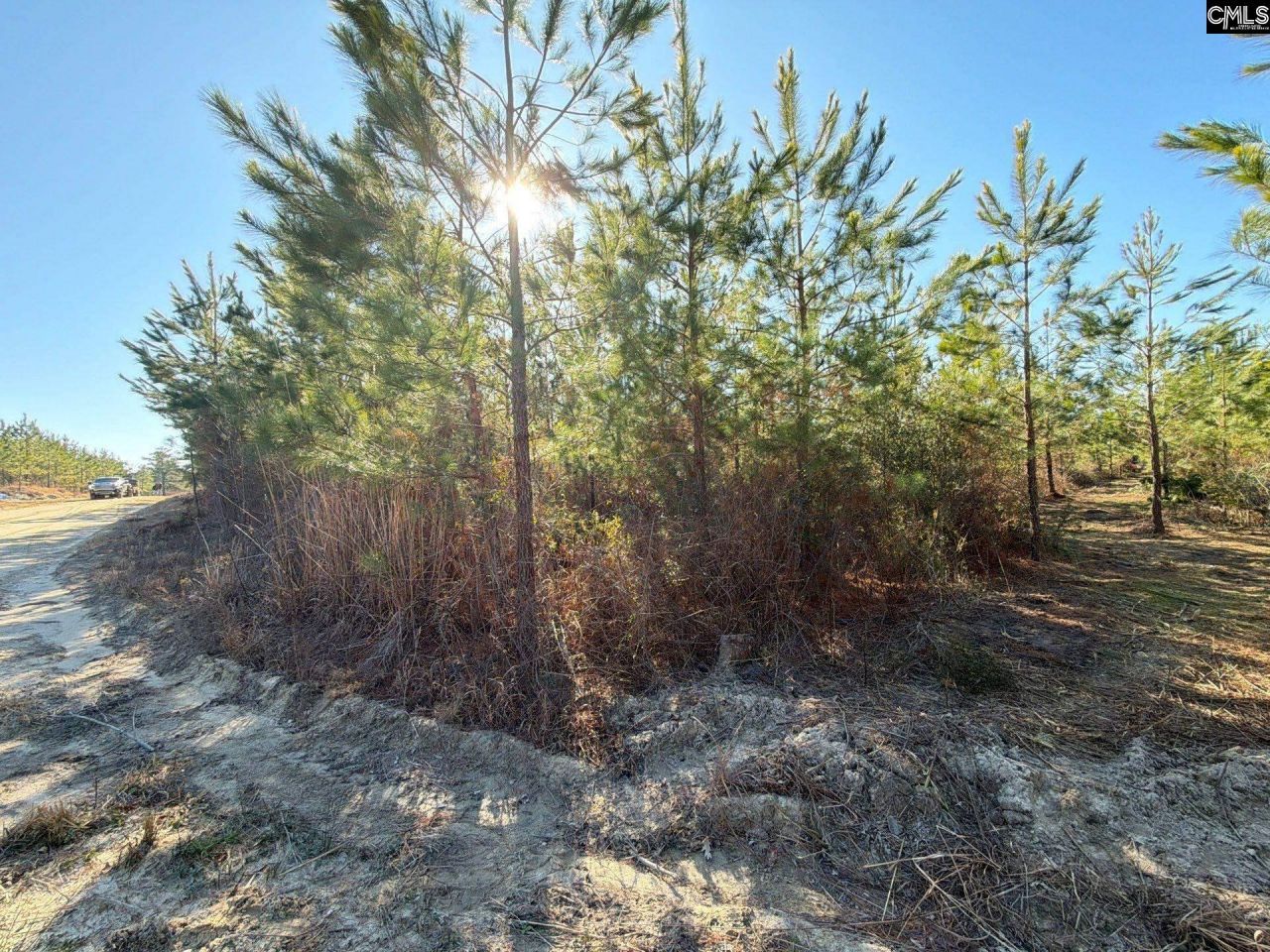 Bff II 8 Brunson Teal Road Photo 20