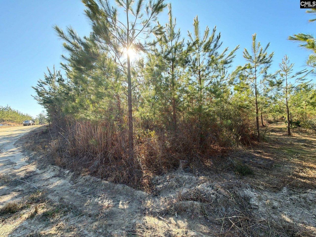 Bff II 8 Brunson Teal Road Photo 21