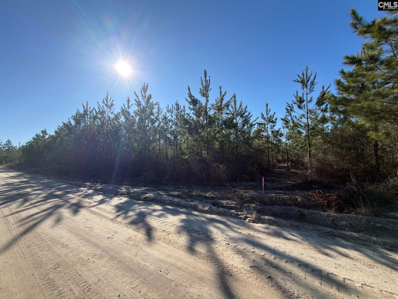 Bff II 8 Brunson Teal Road Photo 24