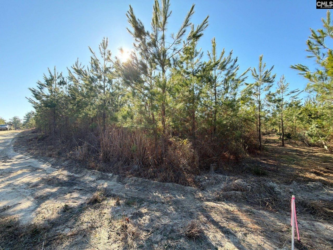 Bff II 8 Brunson Teal Road Photo 25