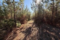 Bff II 8 Brunson Teal Road photo 4