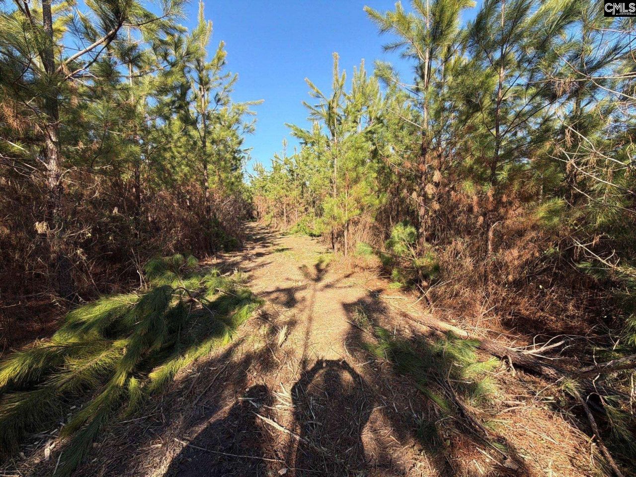 Bff II 8 Brunson Teal Road Photo 4