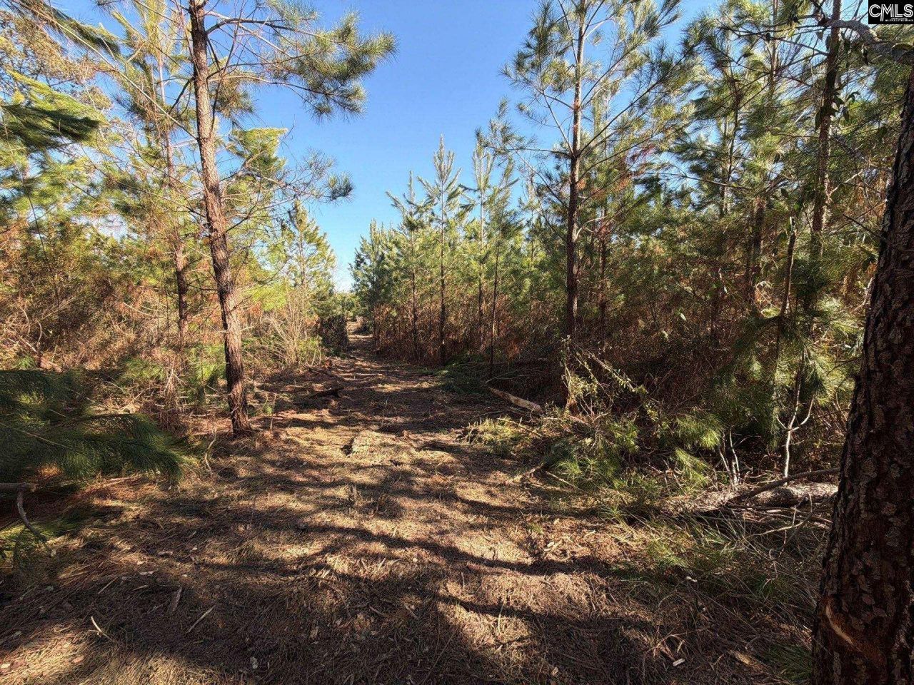 Bff II 8 Brunson Teal Road Photo 7