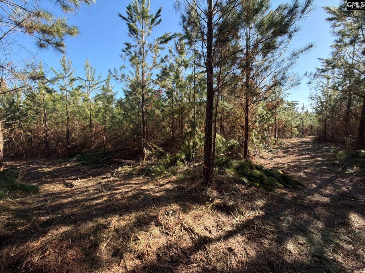 Bff II 8 Brunson Teal Road Photo 8