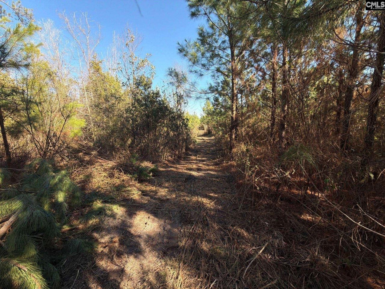 Bff II 8 Brunson Teal Road Photo 9