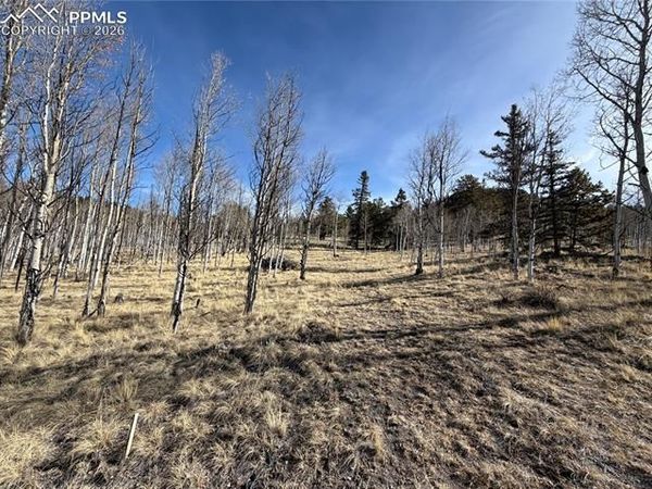32 Sugar Loaf Lane, Jefferson, CO 80456