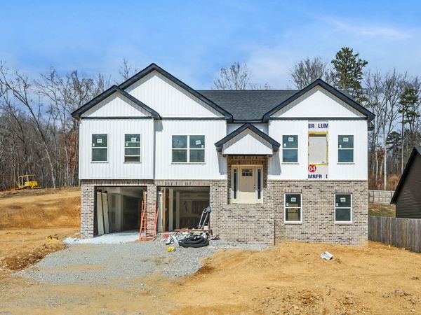 6583 Long Horn Street , Birchwood, TN 37308