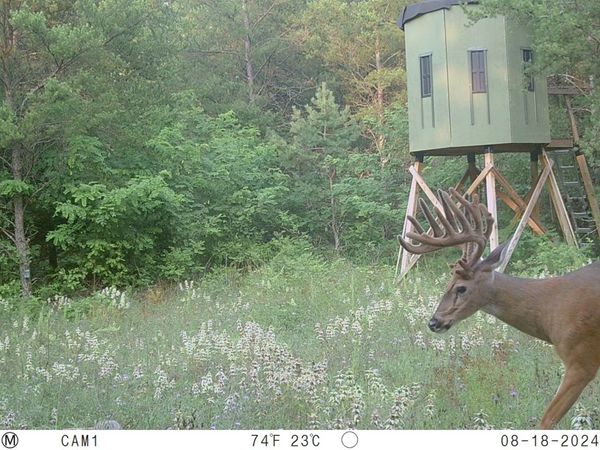 342 Dyke Avenue, Grand Marsh, WI 53936