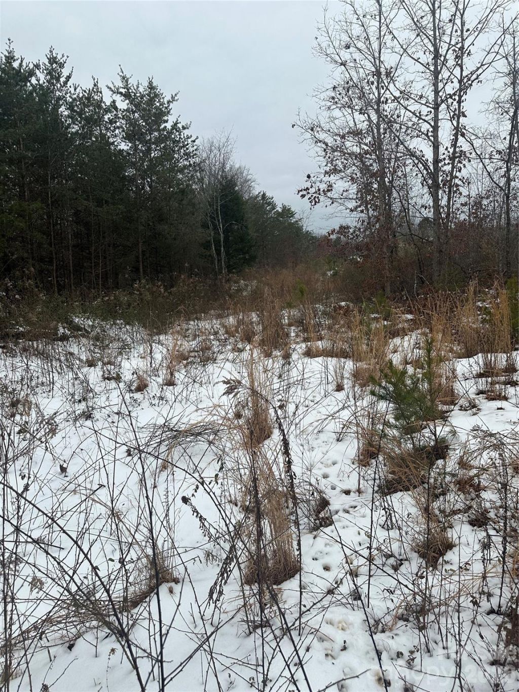 000 Norman Parker Road, Lawndale, NC 28090 Main Photo