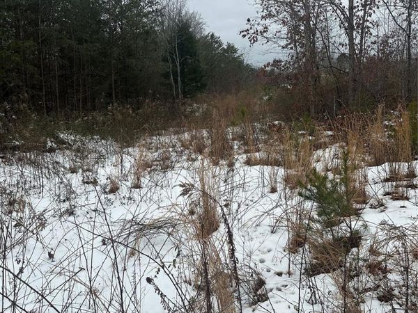 000 Norman Parker Road, Lawndale, NC 28090