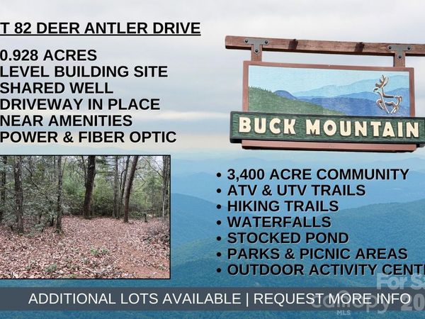 TBD Deer Antler Drive , Purlear, NC 28665