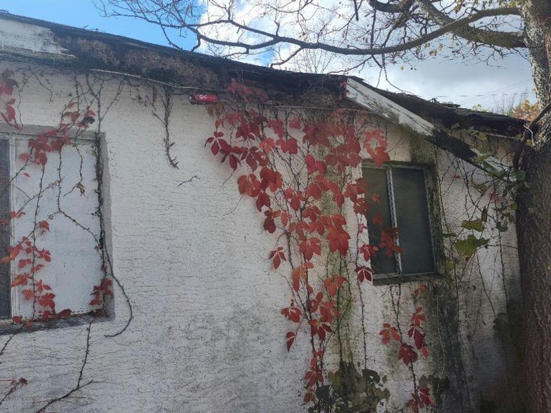 9533 Dublin Road , Powell, OH 43065 Photo 5