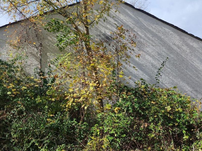 9533 Dublin Road , Powell, OH 43065 Photo 6