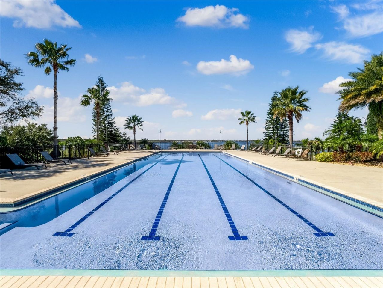 336 Caladium Avenue, Lake Alfred, FL 33850 Photo