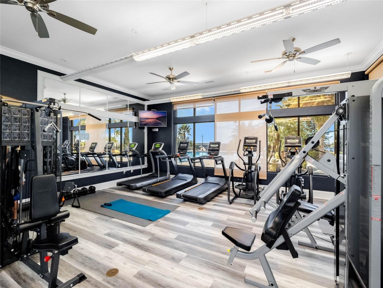 336 Caladium Avenue, Lake Alfred, FL 33850 Photo