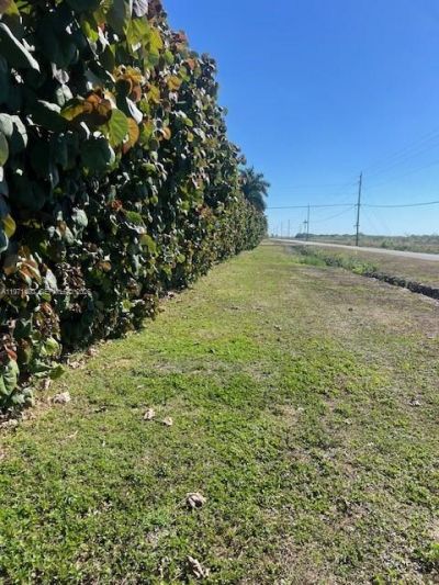 21201 SW 168th St, Miami, FL 33187 Photo