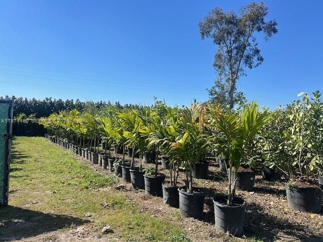 21201 SW 168th St, Miami, FL 33187 Photo