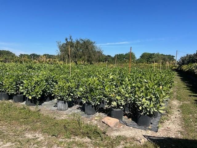 21201 SW 168th St, Miami, FL 33187 Photo