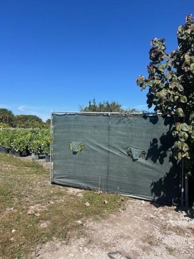 21201 SW 168th St, Miami, FL 33187 Photo