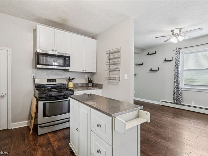 104 S Cedar Street, Geneva, OH 44041 Photo 11