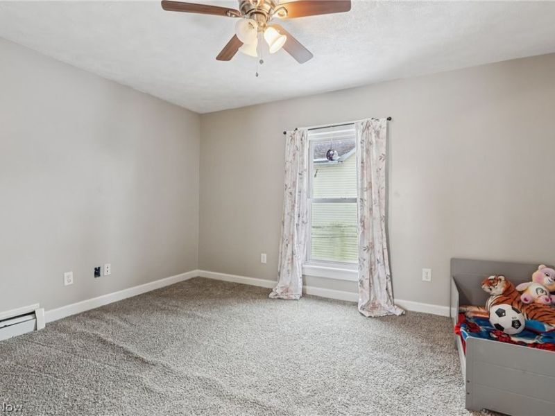 104 S Cedar Street, Geneva, OH 44041 Photo 21