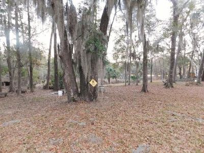 Lot 4 Edisto Oak Lane, Edisto Island, SC 29438