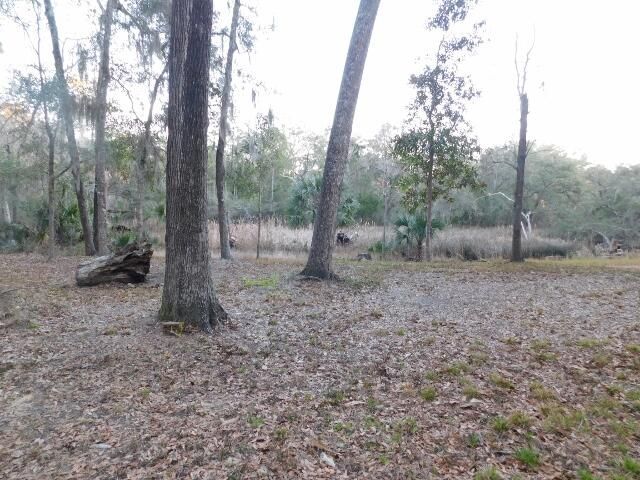 Lot 4 Edisto Oak Lane Photo 10