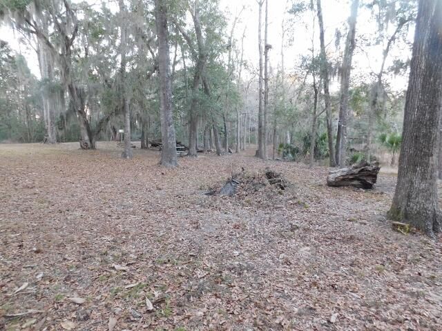 Lot 4 Edisto Oak Lane Photo 11