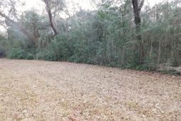 Lot 4 Edisto Oak Lane photo 4