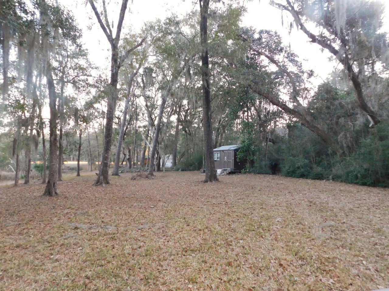 Lot 4 Edisto Oak Lane Photo 4