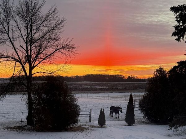 3234 SE 14th Avenue, Owatonna, MN 55060