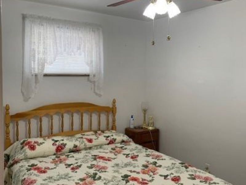 517 E Fernwood Drive, Toronto, OH 43964 Photo 19