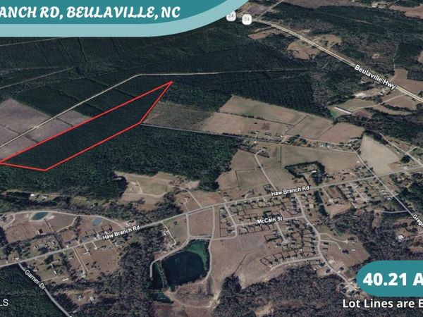 40 Acres Haw Branch Road, Beulaville, NC 28518